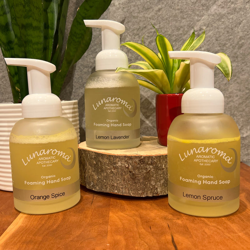 Cinnamon Ginger Hand Soap – Lunaroma Aromatic Apothecary